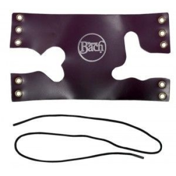 Bach Leder Handschutz