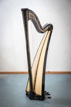 Petutschnigg Modell-1 "Hochglanz"