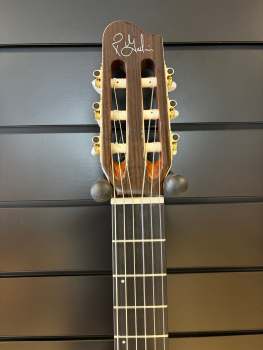 Godin Arena Pro CW Bourbon Burst EQ