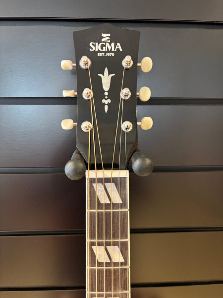 Sigma SDM SG6