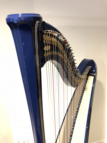 Petutschnigg Modell-1 "Hochglanz"